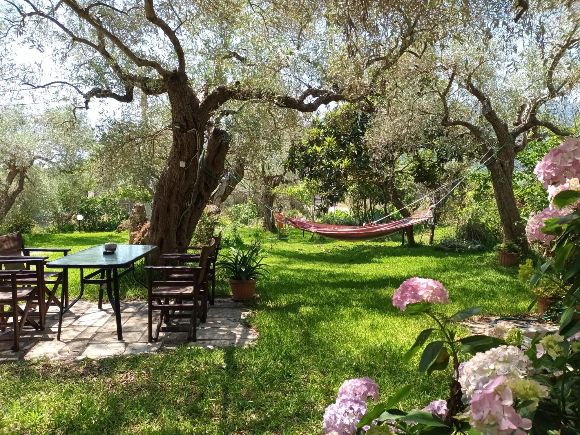 Hotel George خْريسيا أموذيا الغرفة الصورة